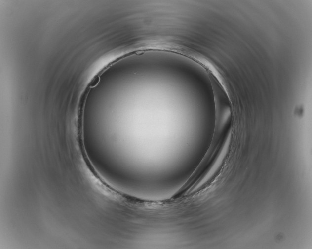 X0000091951147200709061235