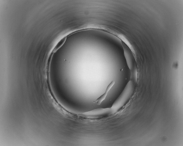 X0000091951148200709061235