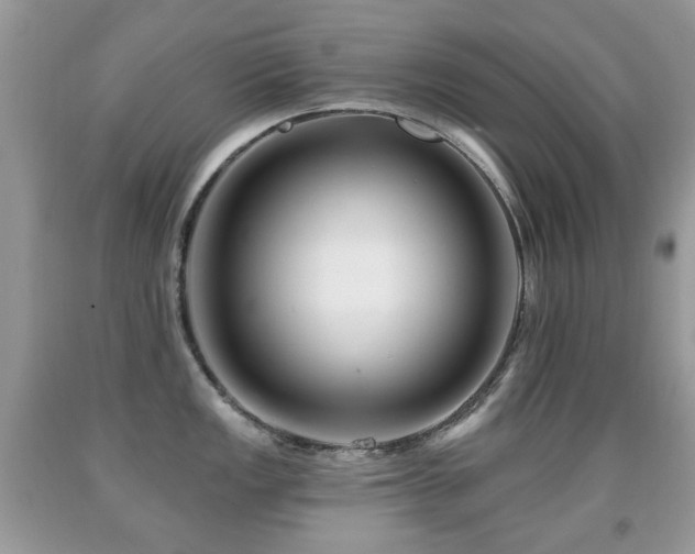 X0000091951149200709061235
