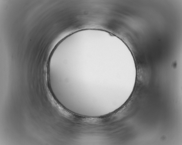 X0000091951150200709061235