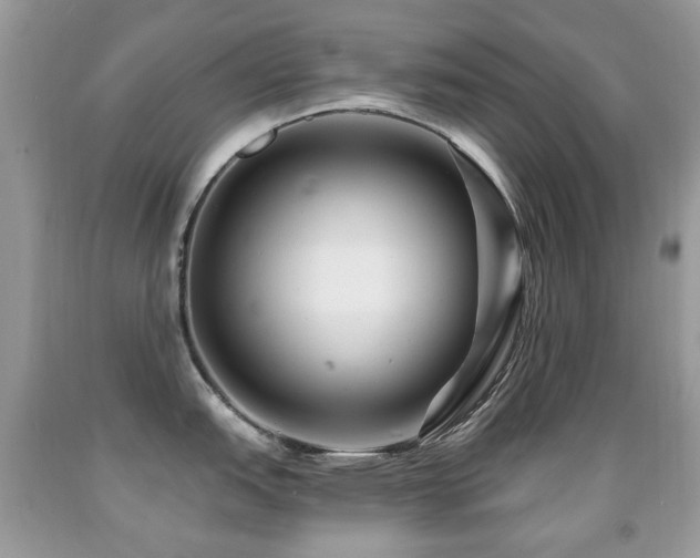 X0000091951151200709061235