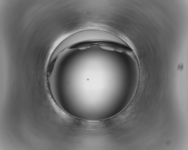 X0000091951152200709061235