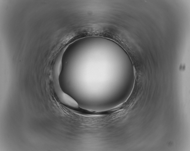 X0000091951153200709061235