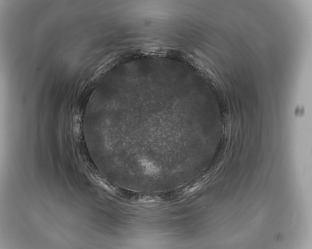X0000091951154200709061235