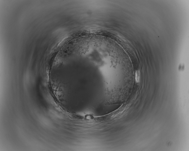 X0000091951155200709061235