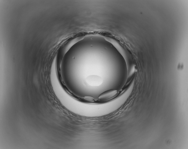 X0000091951157200709061235