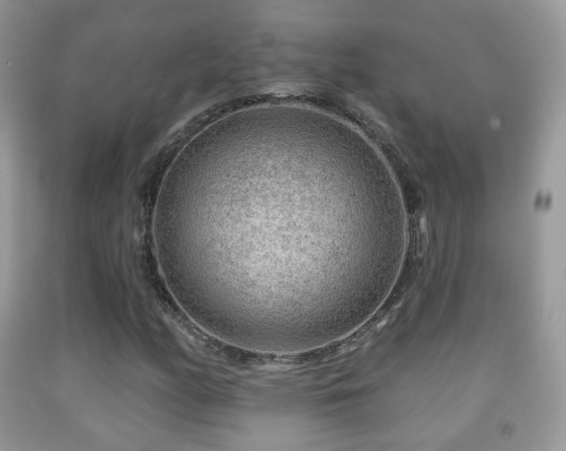 X0000091951158200709061234