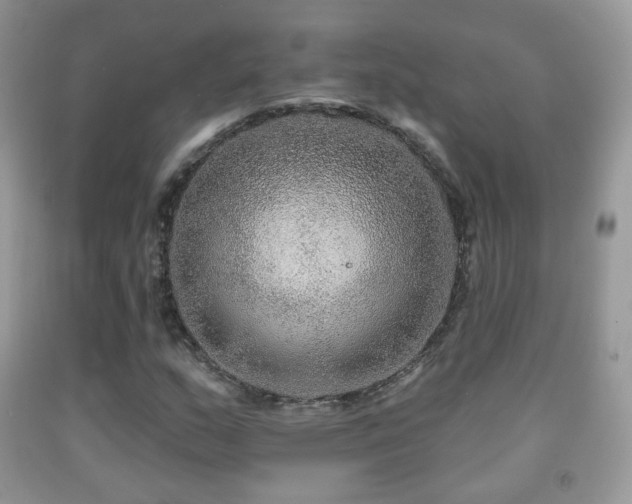 X0000091951159200709061234