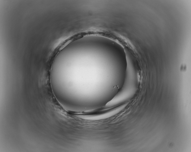 X0000091951160200709061234
