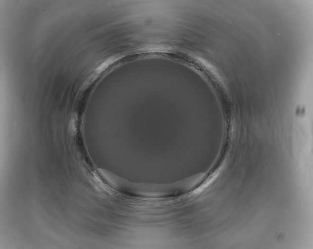 X0000091951161200709061234