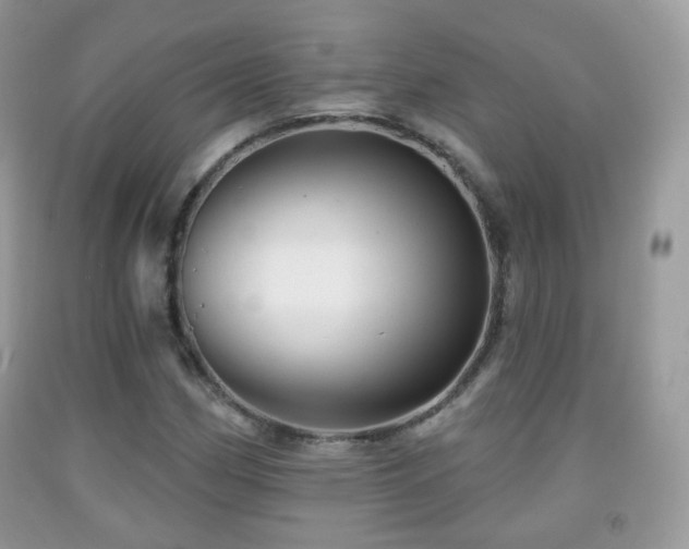 X0000091951162200709061234
