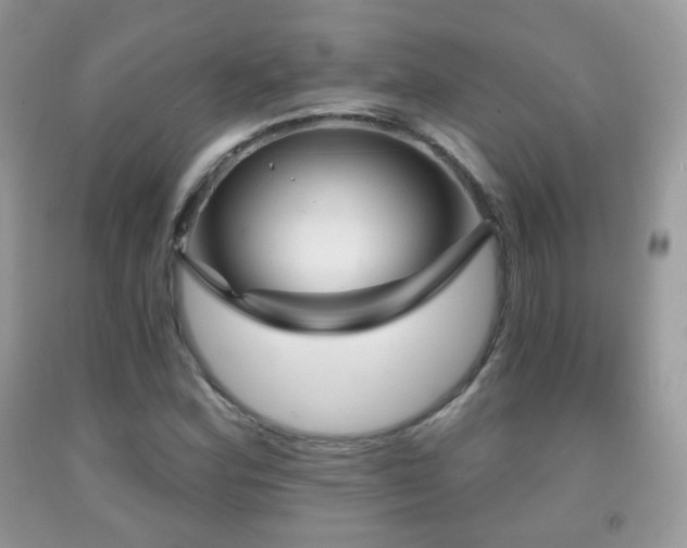 X0000091951164200709061234