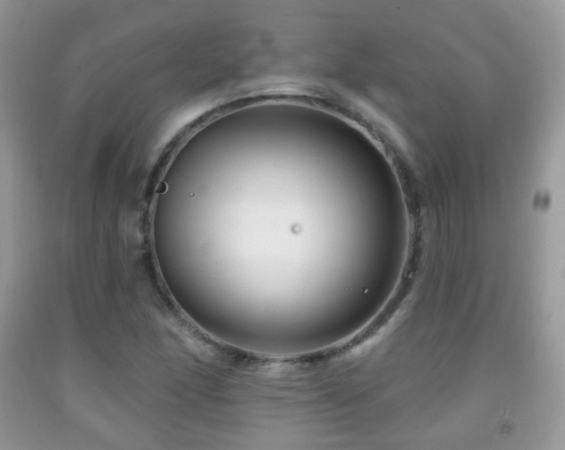 X0000091951166200709061234