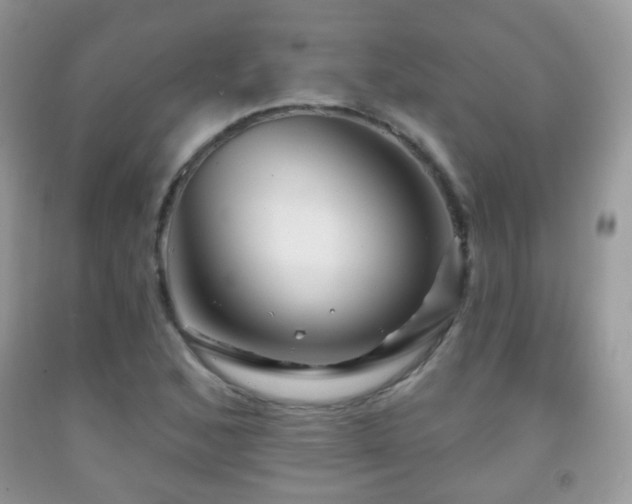 X0000091951168200709061234
