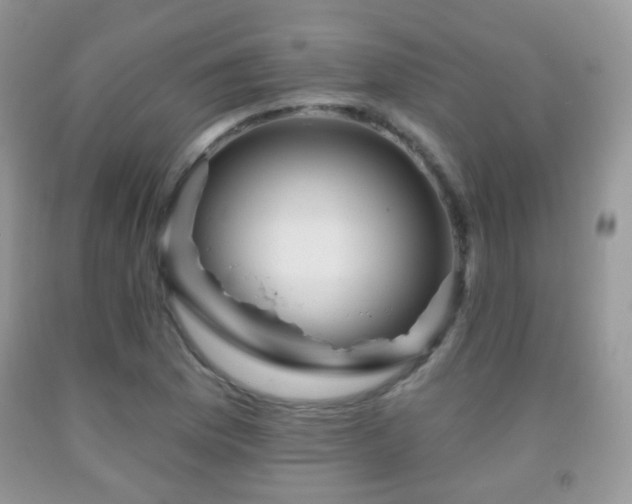 X0000091951169200709061234