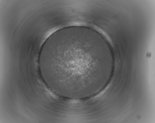 X0000091951170200709061234