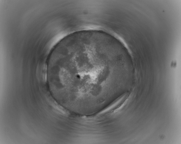 X0000091951171200709061234