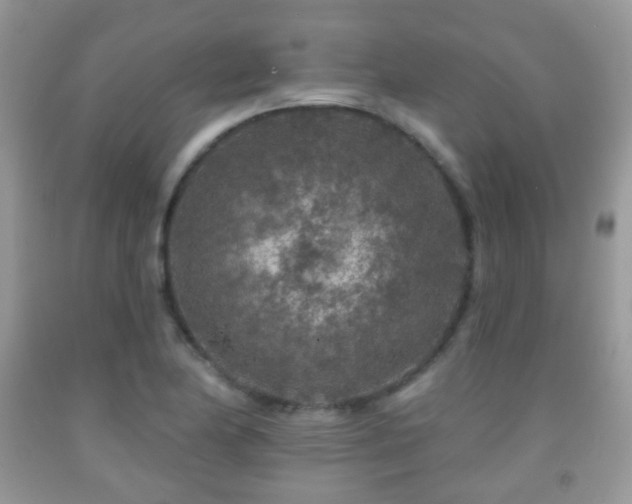 X0000091951174200709061234