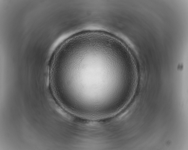 X0000091951175200709061234