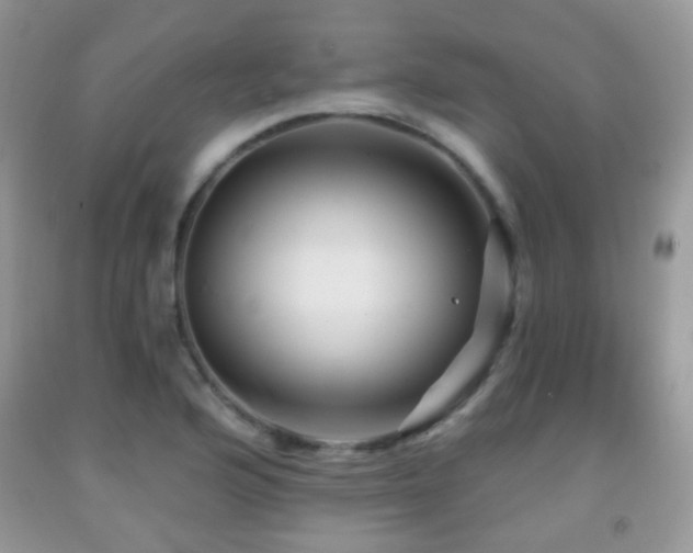 X0000091951176200709061234