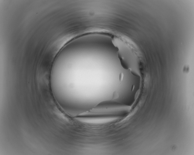 X0000091951177200709061234