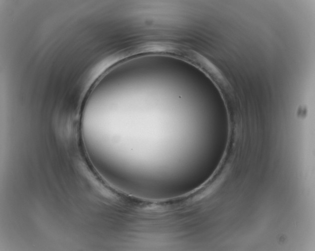 X0000091951178200709061234