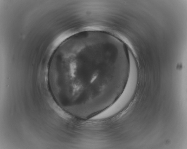 X0000091951179200709061234