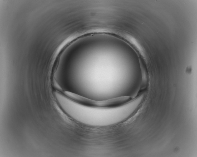 X0000091951181200709061234