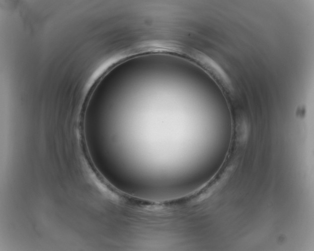 X0000091951182200709061234