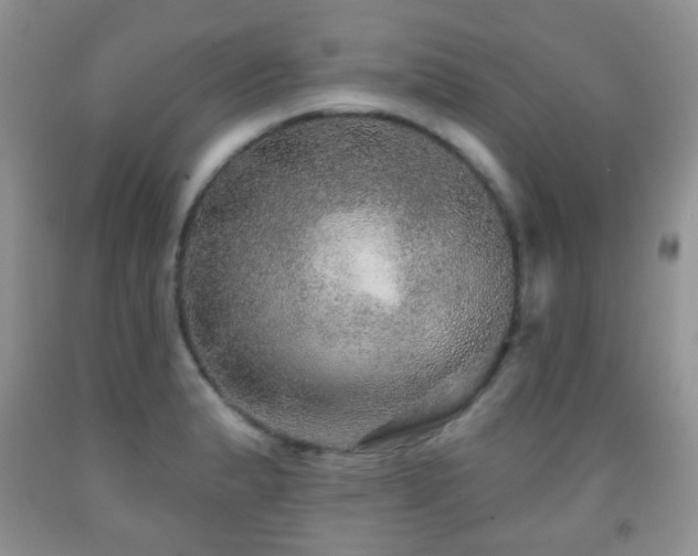 X0000091951183200709061234