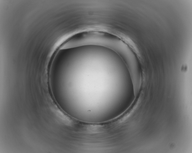 X0000091951184200709061234