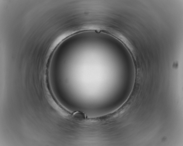 X0000091951187200709061234