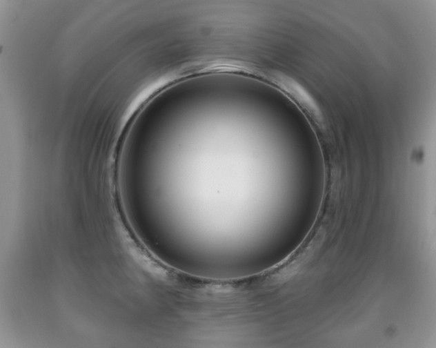 X0000091951190200709061234