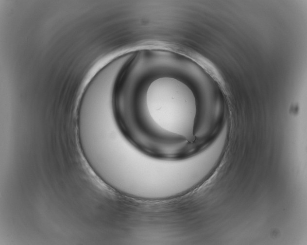 X0000091951192200709061234