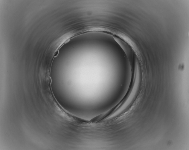 X0000091951193200709061234