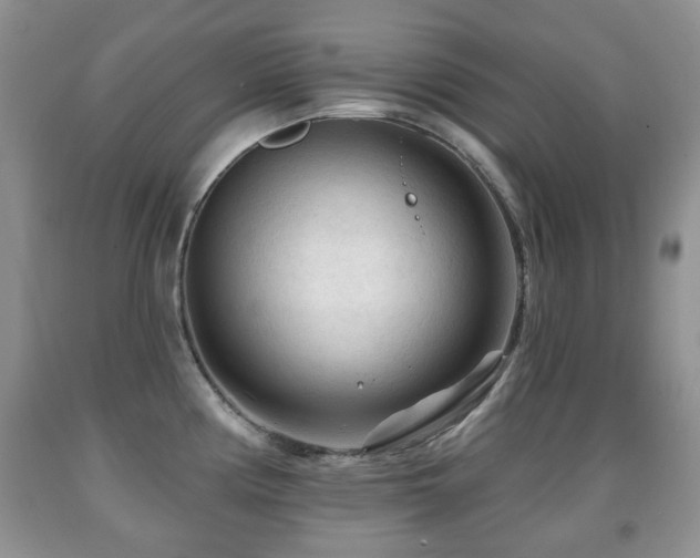 X0000091951194200709061234