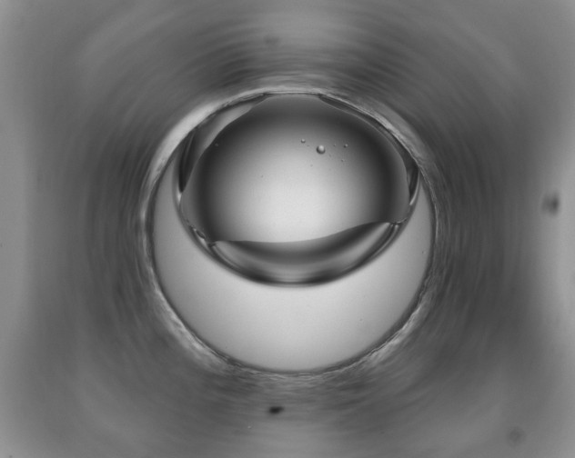 X0000091951196200709061234