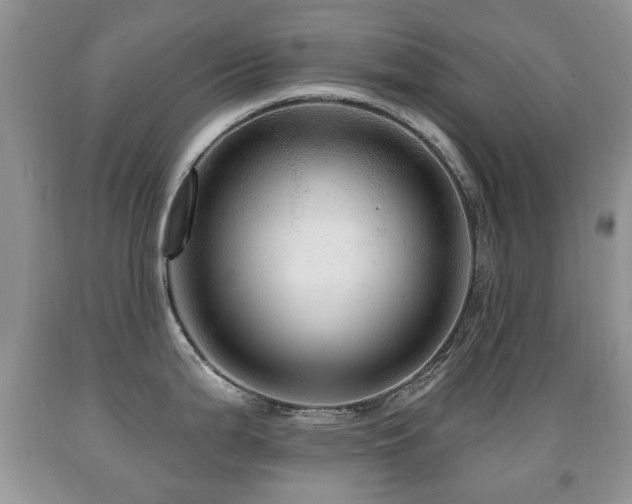 X0000091951199200709061234