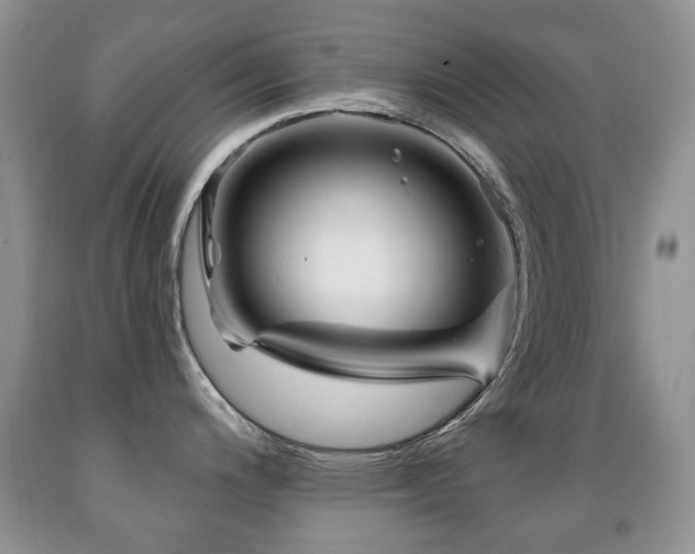 X0000091951200200709061234