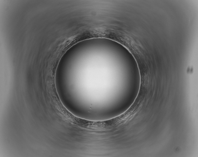 X0000091951201200709061233