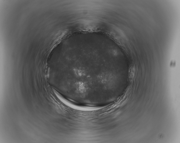 X0000091951202200709061233