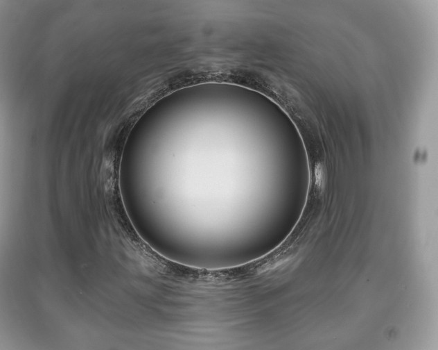 X0000091951203200709061233