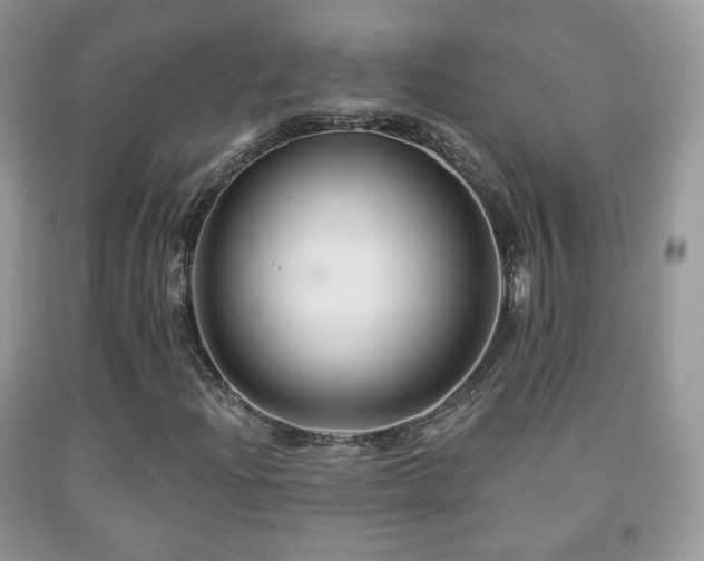 X0000091951204200709061233