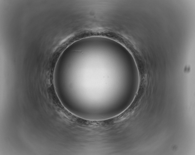 X0000091951205200709061233