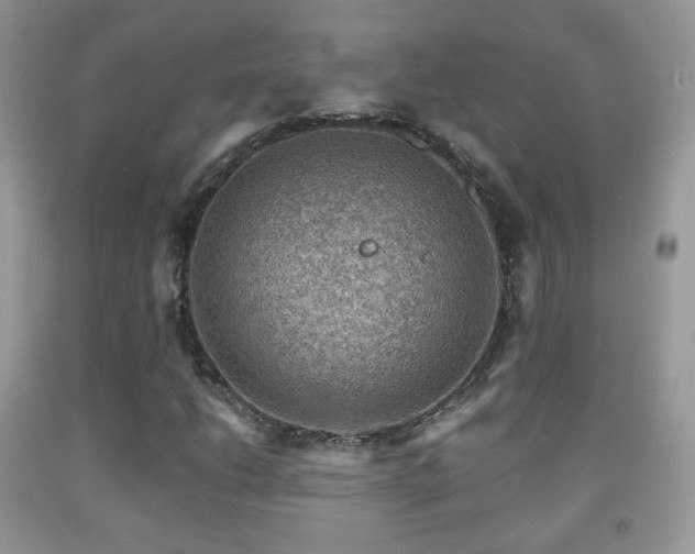 X0000091951206200709061233