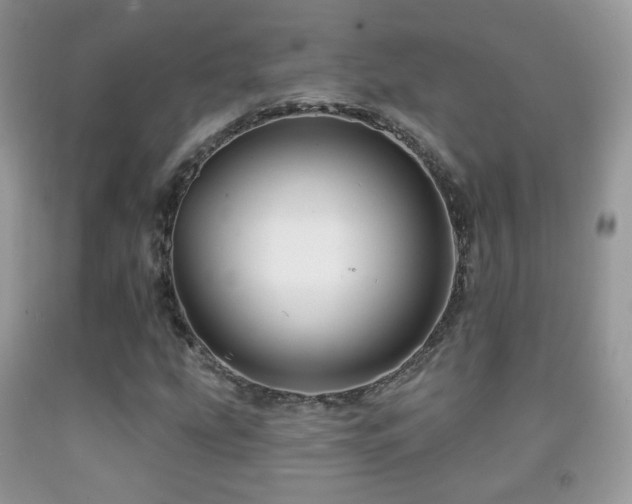 X0000091951207200709061233