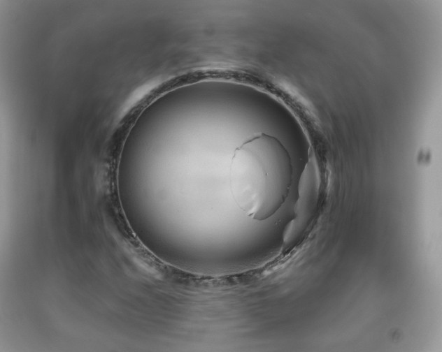 X0000091951208200709061233
