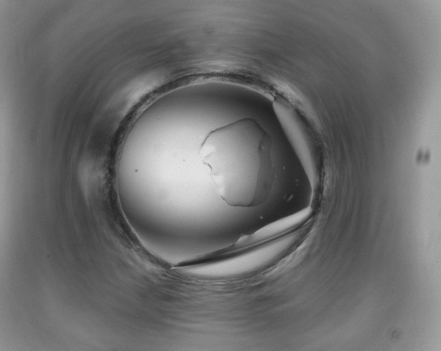 X0000091951210200709061233
