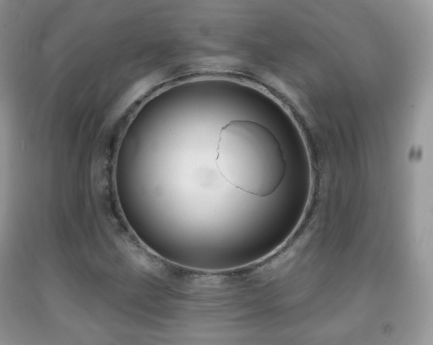 X0000091951211200709061233