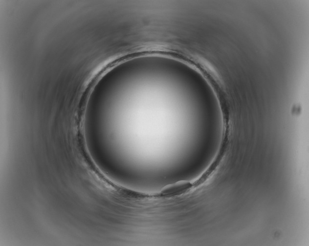 X0000091951212200709061233